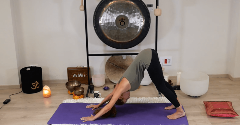 Viniyoga